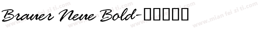 Brauer Neue Bold字体转换